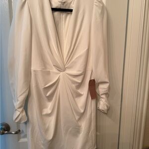 Tadashi Shoji Cream Long Sleeve Dress